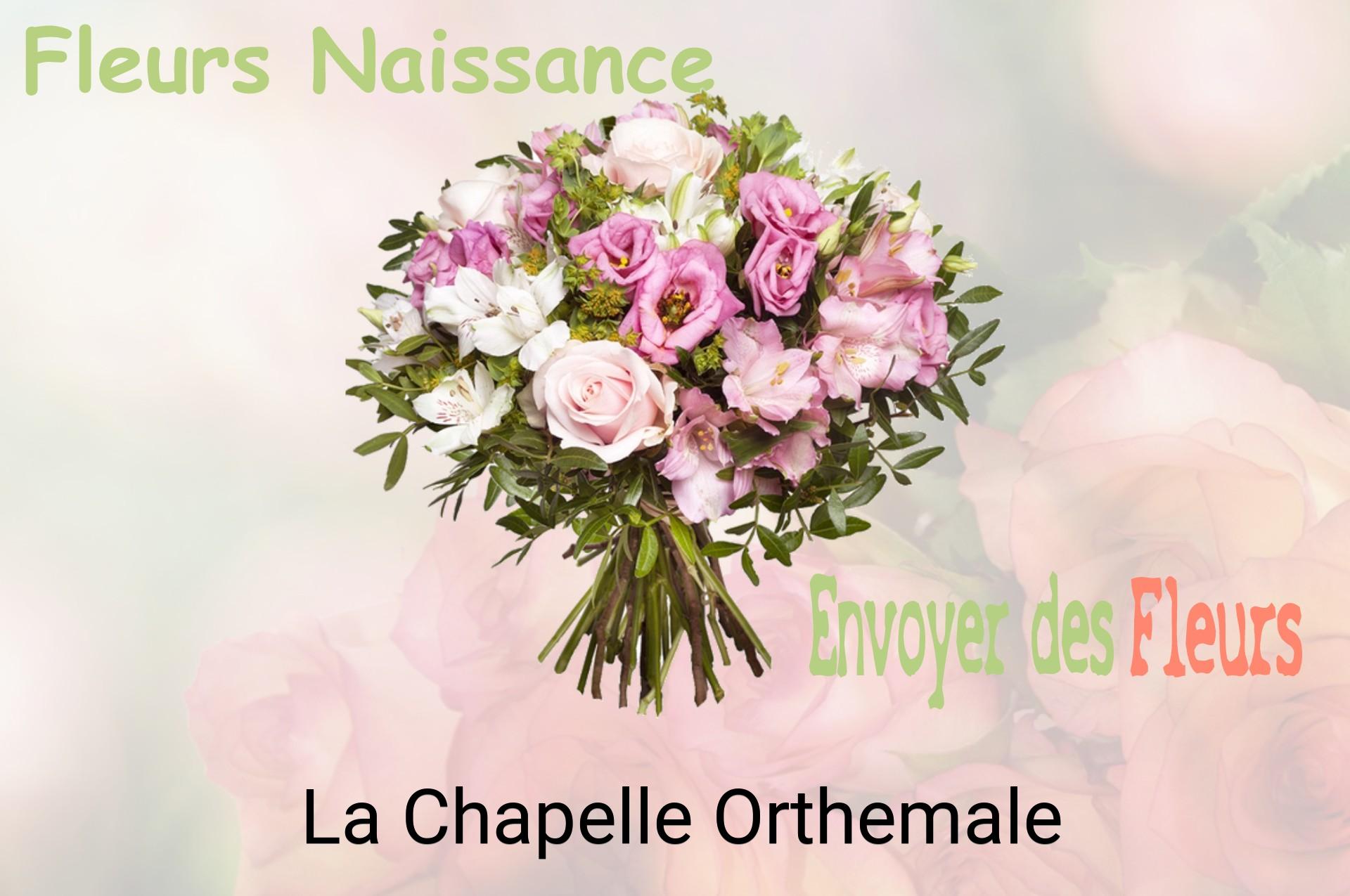 Bouquet de fleurs de naissance livré à La Chapelle-Orthemale
